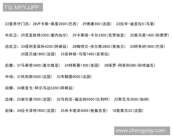 法甲里昂足球俱乐部23名球员全方位解析历史与现状的深度剖析